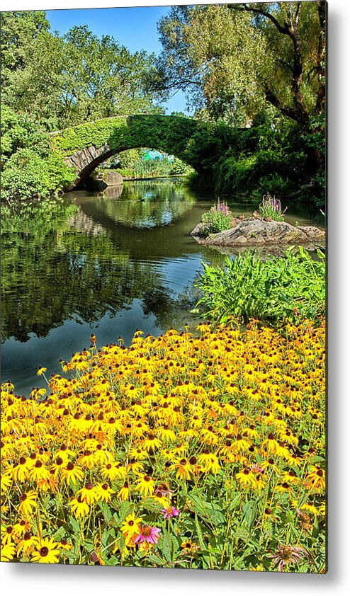 Pond Metal Print featuring the photograph The Pond by Karol Livote