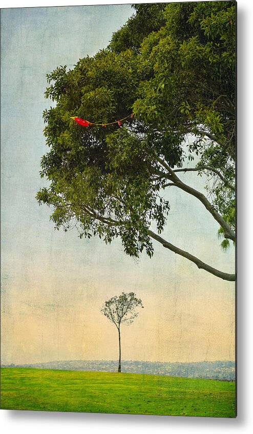 Red Metal Print featuring the photograph The Red Kite by Marianne Campolongo