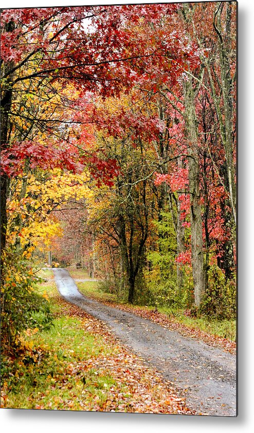 Fall Foliage Metal Print featuring the photograph The Road through Fall by Robert Camp