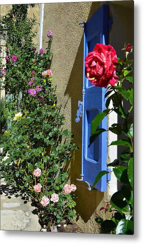 Rose Metal Print featuring the photograph The rose and the blue shutters by Dany Lison