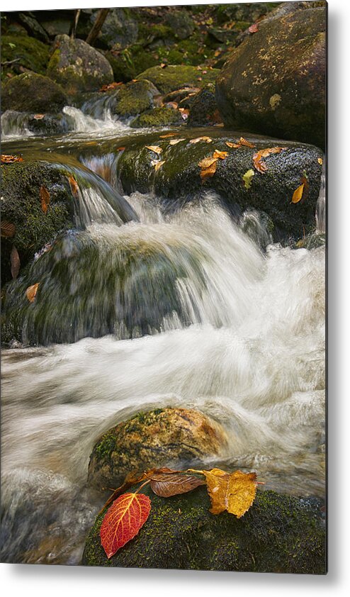 River Metal Print featuring the photograph The Rush of the River by Darylann Leonard Photography