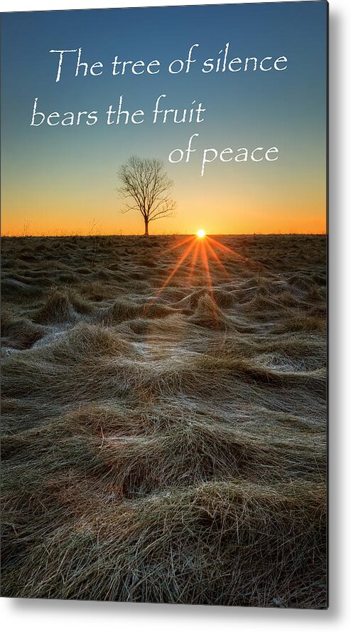 Quotes Metal Print featuring the photograph The Tree of Silence by Bill Wakeley