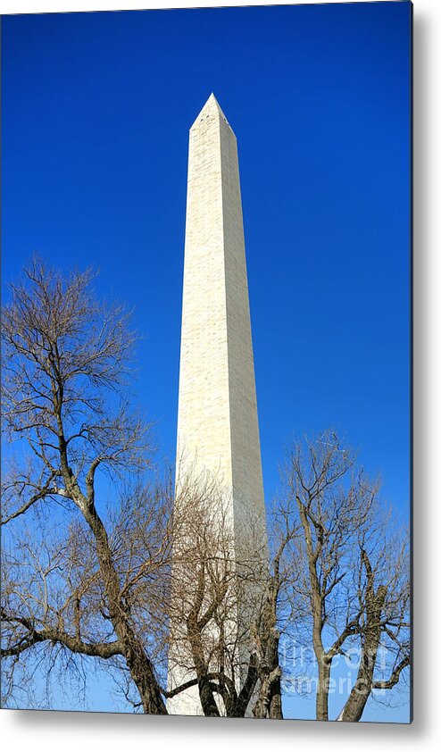 Washington Metal Print featuring the photograph The Washington Monument and the Big Old Tree on the National Mall by Olivier Le Queinec