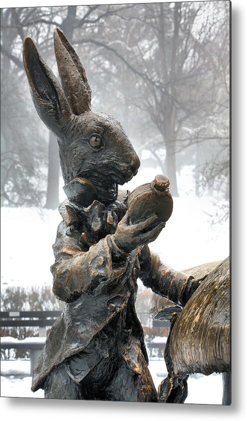 Alice In Wonderland Metal Print featuring the photograph The White Rabbit by JC Findley