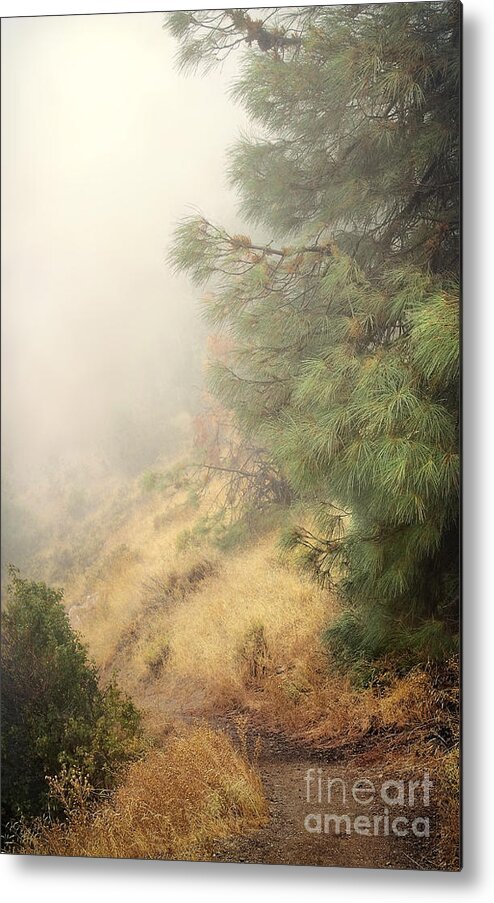Fog Metal Print featuring the photograph There and Back Again 2 by Ellen Cotton