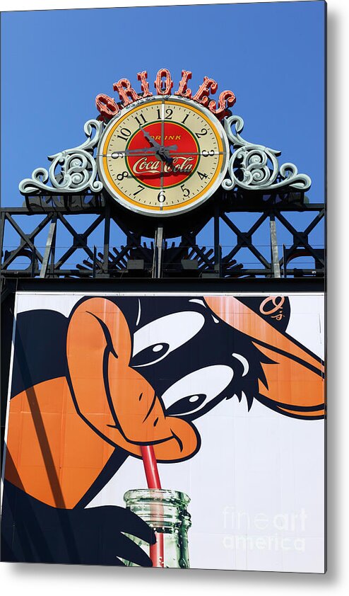 Baltimore Orioles Metal Print featuring the photograph Thirsty Oriole by James Brunker