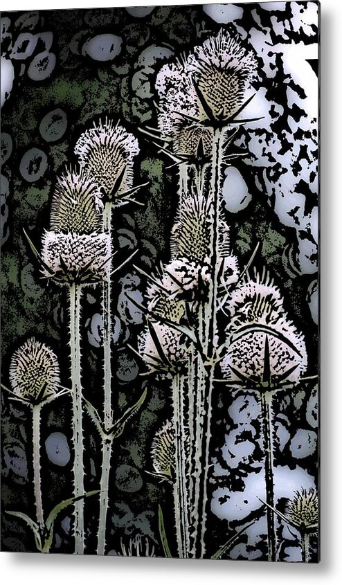 Fine Art Metal Print featuring the digital art Thistle by David Lane