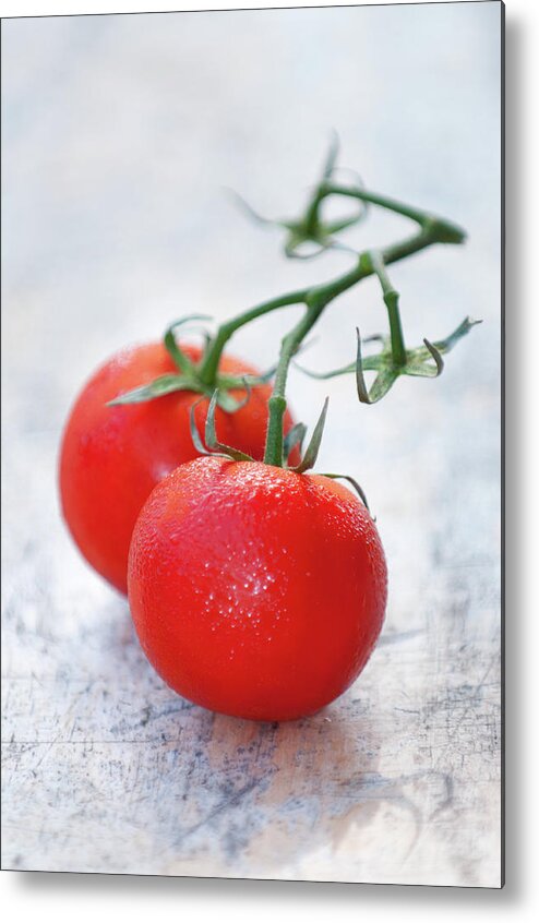White Background Metal Print featuring the photograph Tomato by Jim Mckinley
