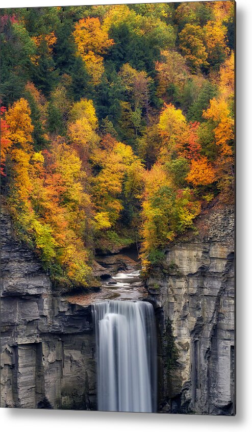 Taughannock Falls Metal Print featuring the photograph Top of the falls by Mark Papke