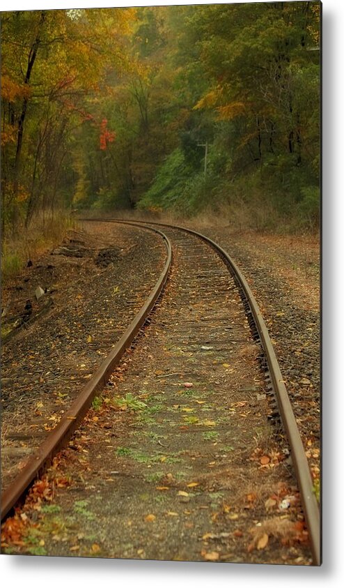 Train Metal Print featuring the photograph Tracking thru the Woods by Karol Livote