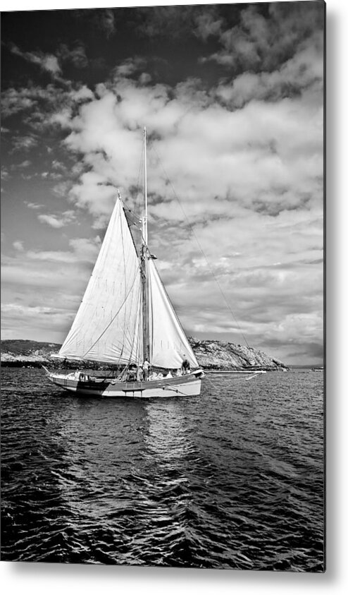 Gaff Cutter Metal Print featuring the photograph Traditional working boat by Gary Eason