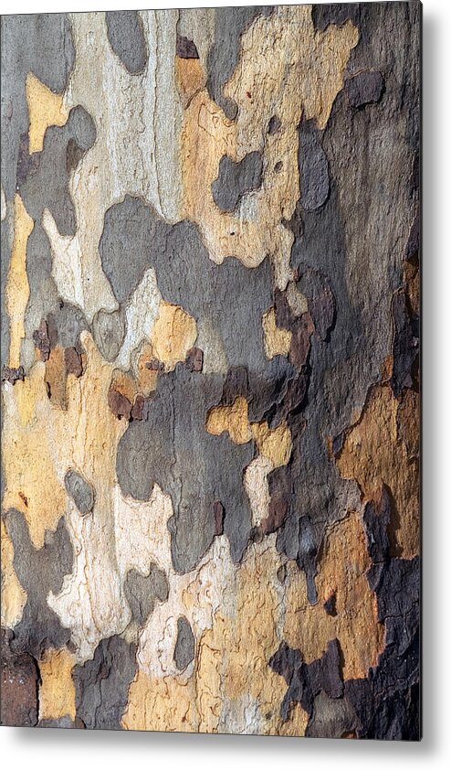 Tree Metal Print featuring the photograph Tree Bark by Chris Clark