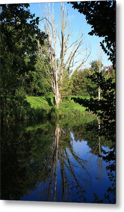 France Metal Print featuring the photograph Tree Reflections by Aidan Moran