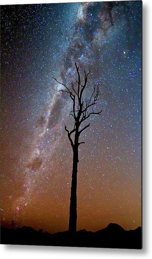 Tranquility Metal Print featuring the photograph Tree Under Stars And The Milky Way by K.muller