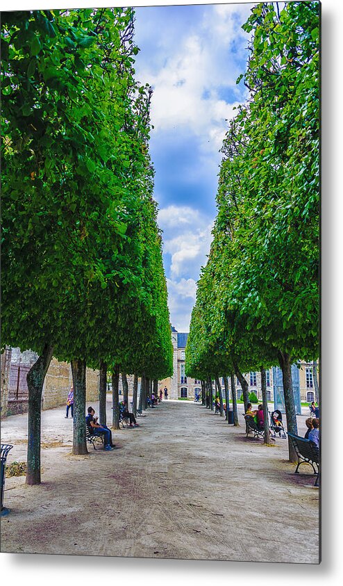 France Metal Print featuring the photograph Trimmed Trees by Louis Dallara