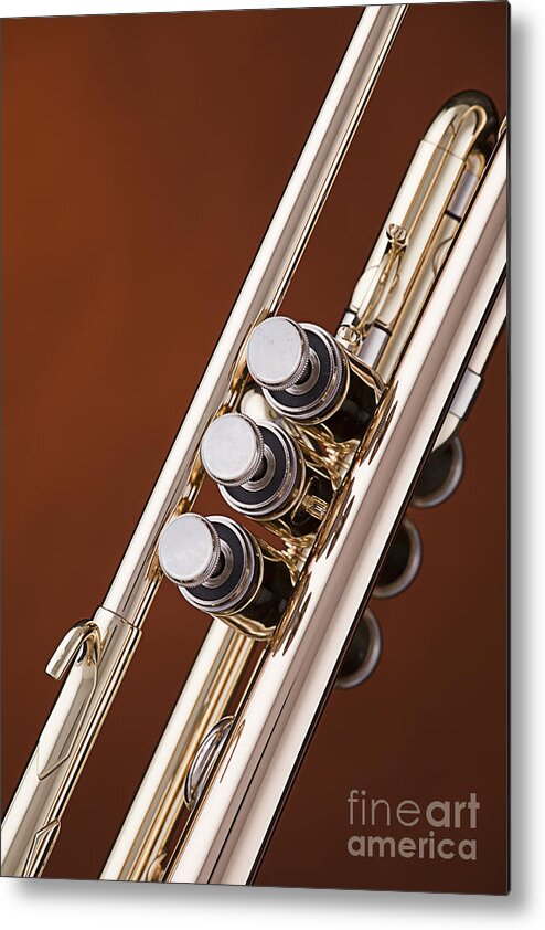 Valves Metal Print featuring the photograph Trumpet or Cornet Valves isolated in Color 3017.02 by M K Miller