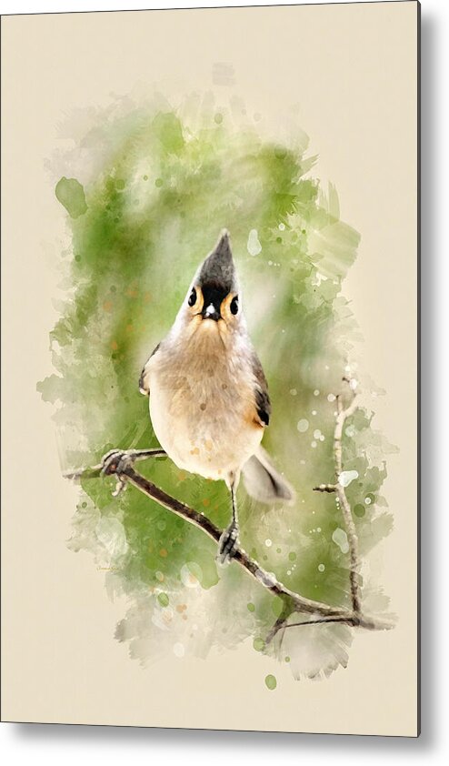 Bird Metal Print featuring the mixed media Tufted Titmouse - Watercolor Art by Christina Rollo
