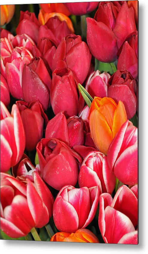 Tulips Metal Print featuring the photograph Tulips in Pike Place Market by Bruce Gourley