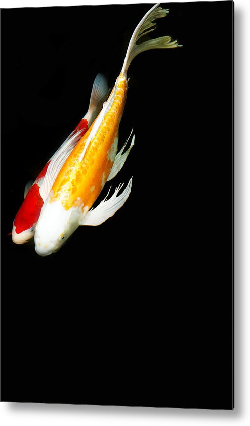 Koi Metal Print featuring the photograph Two Koi Together by Rebecca Cozart