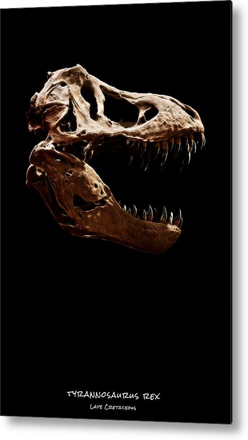 Tyrannosaurus Rex Skull Metal Print featuring the photograph Tyrannosaurus rex skull 1 by Weston Westmoreland