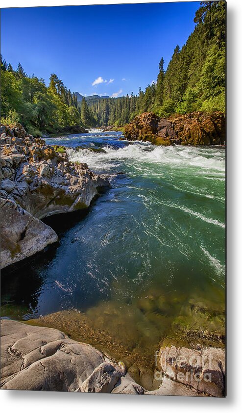 Umpqua River Metal Print featuring the photograph Umpqua River by David Millenheft