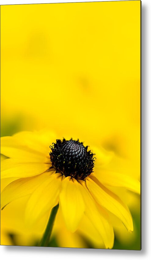 Under The Yellow Sky Metal Print featuring the photograph Under the Yellow Sky by Michael Arend