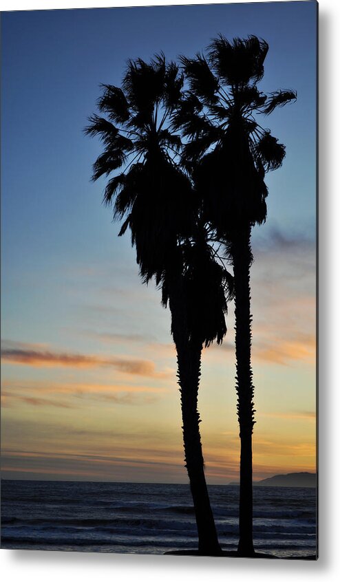 Ventura Metal Print featuring the photograph Ventura Palm Sunset by Kyle Hanson