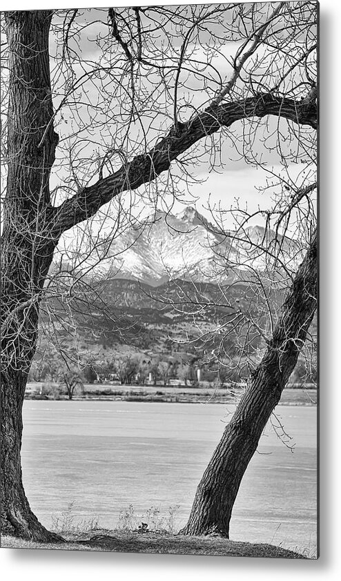 Longs Peak Metal Print featuring the photograph View Through The Trees To Longs Peak BW by James BO Insogna