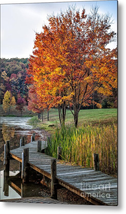 2012 Metal Print featuring the photograph Walk Into Fall by Ronald Lutz
