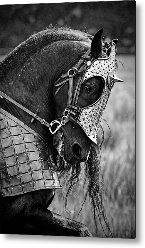 Warrior Horse Metal Print featuring the photograph Warrior Horse by Wes and Dotty Weber