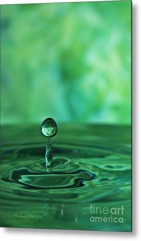 Water Metal Print featuring the photograph Water Drop Green by Linda Blair