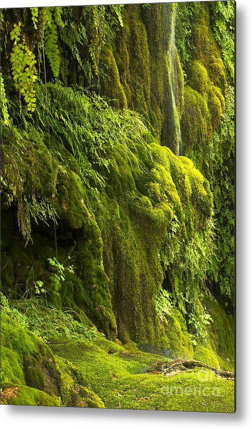 Landscape Metal Print featuring the photograph Waterfall in green by Bryan Keil