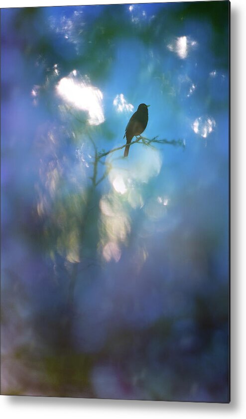 Animals Metal Print featuring the photograph Weather to fly by Richard Piper