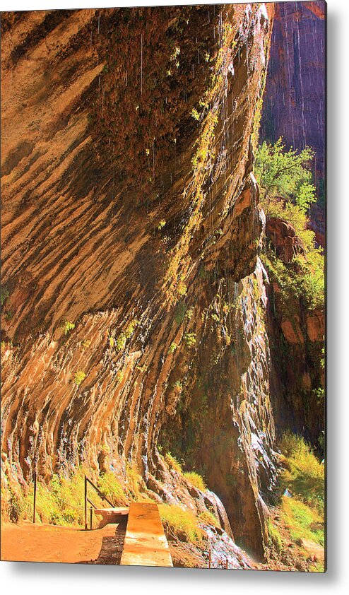 Weeping Rock In Zion Metal Print featuring the photograph Weeping rock In Zion by Viktor Savchenko