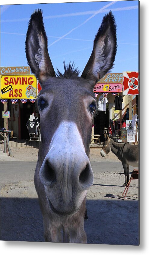 Donkey Metal Print featuring the photograph What . . . No Carrots by Mike McGlothlen