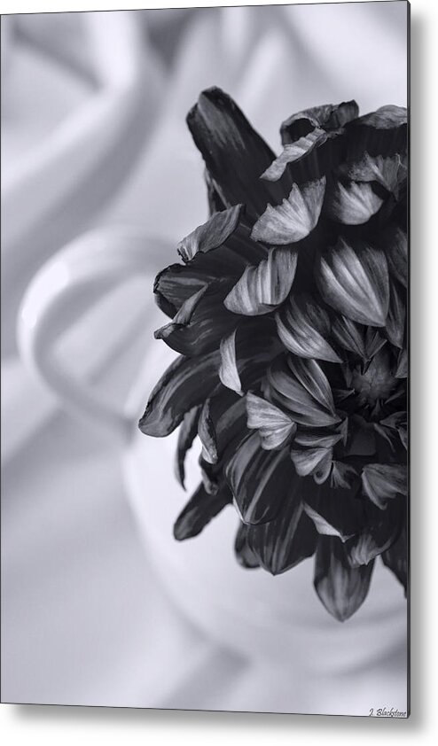 Flowers Metal Print featuring the photograph Whispered Beauty - Black and White Art by Jordan Blackstone