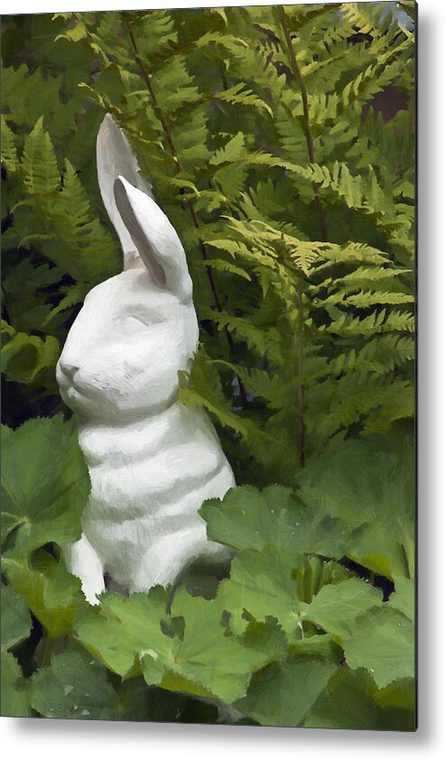 Rabbit Metal Print featuring the photograph White Rabbit Among Lady's Mantel And Ferns by Sandra Foster
