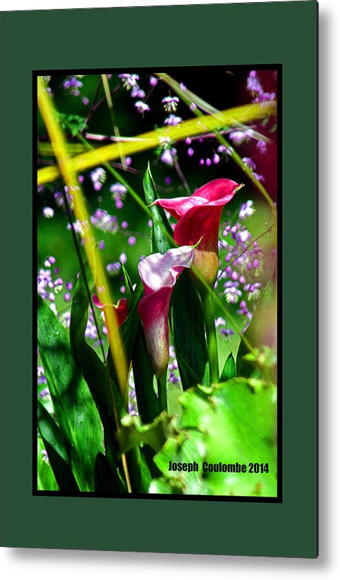 Wild Flowers Metal Print featuring the digital art Wild Flowers Captured by Joseph Coulombe