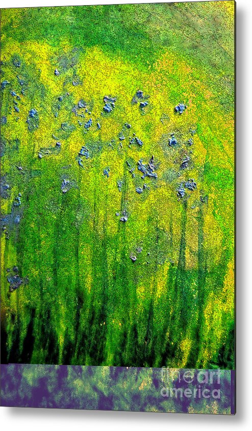First Star Art Metal Print featuring the painting Wildflower Impression by jrr by First Star Art