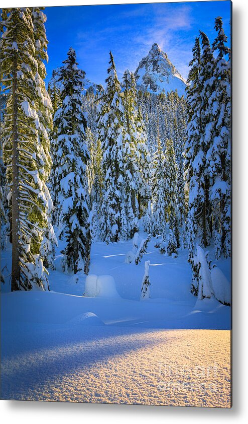 America Metal Print featuring the photograph Winter Forest by Inge Johnsson