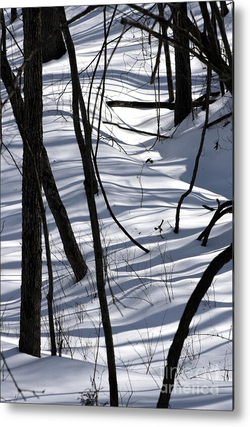 Winter Metal Print featuring the photograph Winter Hillside by Fred Sheridan