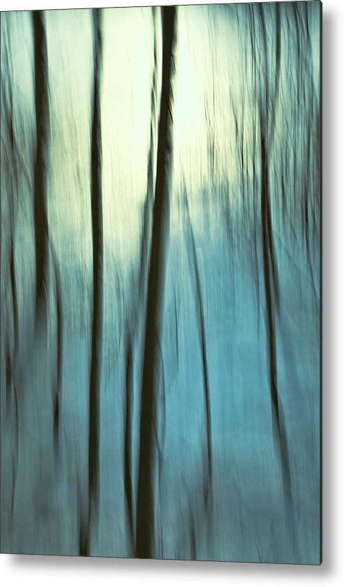 Landscape. Nature Metal Print featuring the photograph Winter Light by Jonathan Nguyen