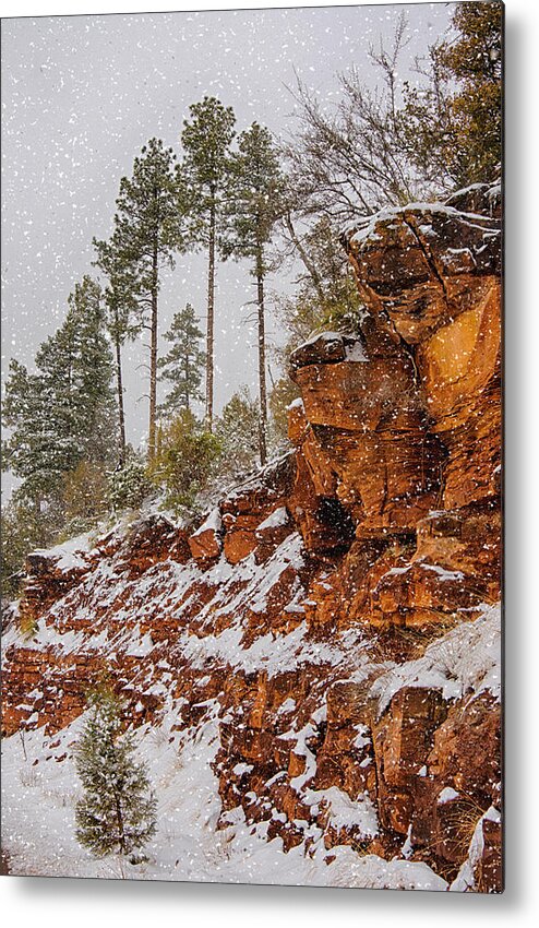 Winter Metal Print featuring the photograph Winter Wonderland Southwest Style by Saija Lehtonen