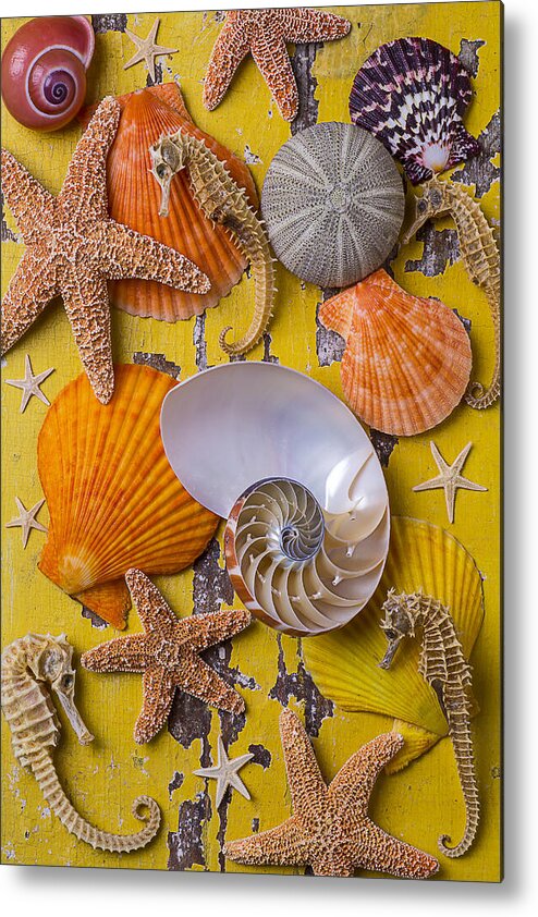 Wonderful Sea Life Metal Print featuring the photograph Wonderful sea life by Garry Gay