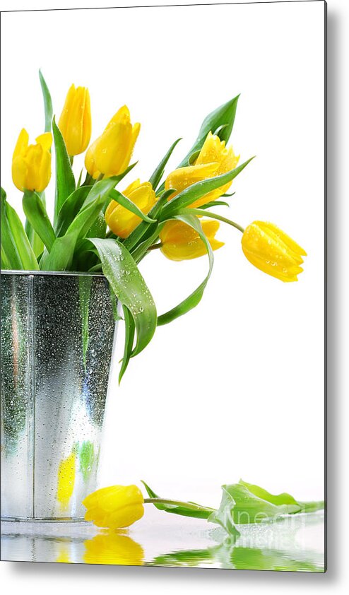 April Metal Print featuring the photograph Yellow spring tulips by Sandra Cunningham