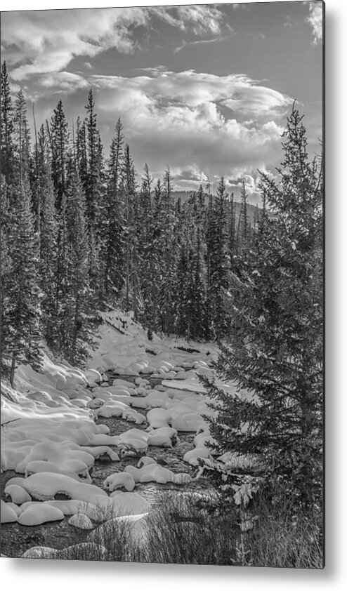 Black And White Metal Print featuring the photograph Yellowstone Snow Pillows by Jared Perry 
