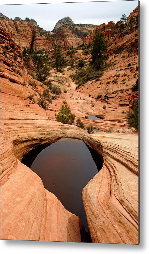 Daniel Woodrum Metal Print featuring the photograph Zion's Many Pools Trail by Daniel Woodrum