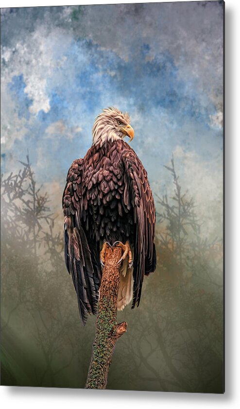 Eagle Metal Print featuring the digital art American Bald Eagle by Mary Almond