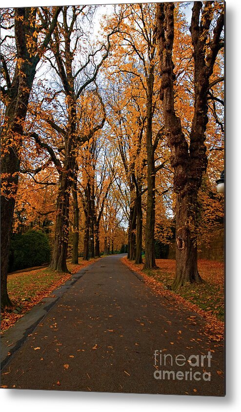 Deutschland Metal Print featuring the photograph Fall colors #2 by Joerg Lingnau