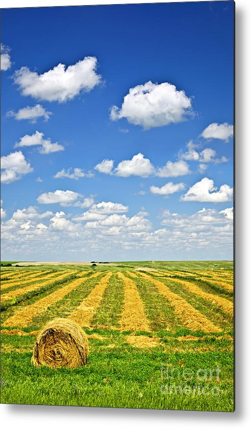 Agriculture Metal Print featuring the photograph Farm field at harvest in Saskatchewan 1 by Elena Elisseeva